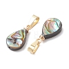 Abalone Shell/Paua Shell Pendants PALLOY-JF05263-2