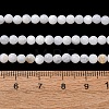 Natural Freshwater Shell Beads Strands SH-CBA2978-07D-03-4