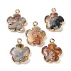 Natural Crazy Agate Pendants G-P566-01G-05-1