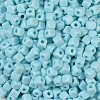 Opaque Acrylic Beads OACR-B025-06G-3