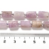 Natural Kunzite Beads Strands G-N327-06-36-5