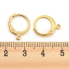 304 Stainless Steel Leverback Earring Findings STAS-D448-041G-3