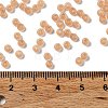 8/0 Glass Seed Beads SEED-Z001-C-E10-4