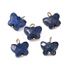 Dyed Natural Lapis Lazuli Pendants KK-D289-61G-06-1