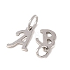 304 Stainless Steel Charms SA-CBAAA8B-02G-3