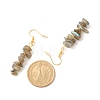 Natural Labradorite Chip Beaded Dangle Earrings EJEW-JE04788-04-4