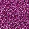 MIYUKI Delica Beads SEED-J020-DB2153-3