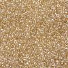 MIYUKI Round Rocailles Beads SEED-X0055-RR0161-3