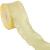 Ruffled Polyester Ribbon OCOR-WH0047-79-1