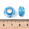 Lampwork & Brass Core European Beads LAMP-P019-01P-30-3
