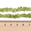 Natural Peridot Beads Strands G-P332-48-01-3