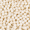 Baking Paint Pearlized Glass Seed Beads SEED-T007-21A-01-2