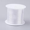 Fishing Thread Nylon Wire LS-NWIR-G015-0.3mm-01-1