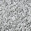Baking Paint Glass Seed Beads X-SEED-S042-15A-01-4