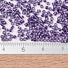 MIYUKI Delica Beads SEED-MY11-DB1756-4