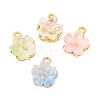 Alloy Glass Charms FIND-C079-05G-1