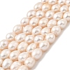 Natural Cultured Freshwater Pearl Beads Strands PEAR-I007-01F-03A-2