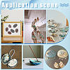 Natural Paua Shell Display Decorations DJEW-WH0042-147-5