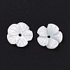 Natural Trochid Shell/Trochus Shell Beads SHEL-P014-02A-3