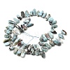 Natural Larimar Beads Strands G-Z091-A09-3
