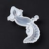 3D Animal Figurine Silicone Molds DIY-E058-03B-5