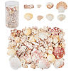 Natural Sea Shell Beads Kits SSHEL-PH0002-49-3