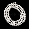 Round Shell Pearl Bead Strands BSHE-L011-4mm-A013A-4