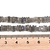 Natural Labradorite Beads Strands G-Z152-F04-02-5