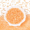 Glass Seed Beads X-SEED-N007-27E-2