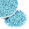 FGB Baking Paint Glass Seed Beads SEED-Q040-09A-14-1