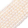 Natural Cultured Freshwater Pearl Beads Strands PEAR-F020-01B-2
