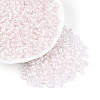 Glass Seed Beads SEED-T007-10D-2