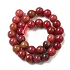 Dyed Natural Malaysia Jade Beads Strands G-G021-02A-15-2