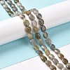 Natural Labradorite Beads Strands G-C238-37-2