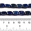 Natural Lapis Lazuli Dyed Beads Strands G-T138-173-5