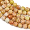 Handmade Lampwork Beads Strand LAMP-B056-8mm-10-4