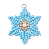 Glass Seed Beaded Pendants PALLOY-MZ01360-02-1