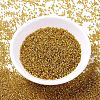 MIYUKI Delica Beads SEED-MY11-DB2157-2