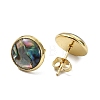 3 Pairs Flat Round Natural Paua Shell Stud Earrings for Women EJEW-JE07126-4