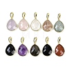 Natural Mixed Gemstone Faceted Teardrop Pendants G-B126-04G-1