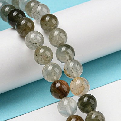 Natural Green Lodolite Quartz/Garden Quartz Beads Strands G-R494-A07-03-1