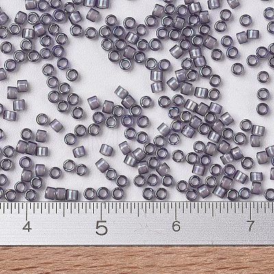 MIYUKI Delica Beads X-SEED-J020-DB1789-1