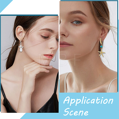 80Pcs 2 Colors 304 Stainless Steel Hoop Earrings Finding FIND-SC0012-48-1