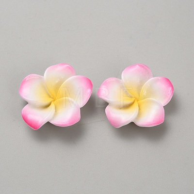 Two Tone Resin Cabochons RESI-WH20010-01F-1