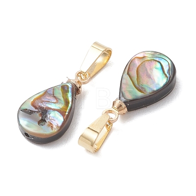 Abalone Shell/Paua Shell Pendants PALLOY-JF05263-1