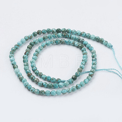 Natural Howlite Beads Strands X-TURQ-L028-03-3mm-1
