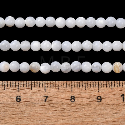 Natural Freshwater Shell Beads Strands SH-CBA2978-07D-03-1