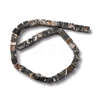 Natural Map Stone Beads Strands G-T139-8x8-45A-1