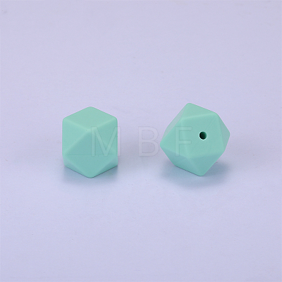 Hexagonal Silicone Focal Beads LS-SI-JX0020A-93-1
