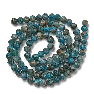 Natural Apatite Beads Strands G-K185-02-4MM-1